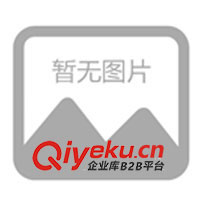 09年春夏休閑情侶裝，運動時尚裝，征全國各地批發(fā)商